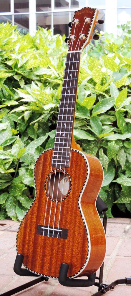 We meticulously select premium brands known for their unwavering commitment to superior craftsmanship and materials. . Mainland ukulele